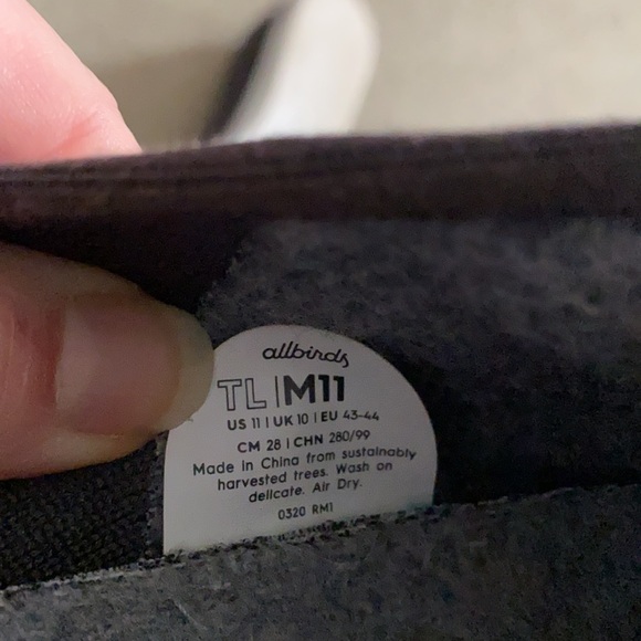 Basically brand new men’s allbirds, size 11 Tree Loungers - Picture 4 of 5